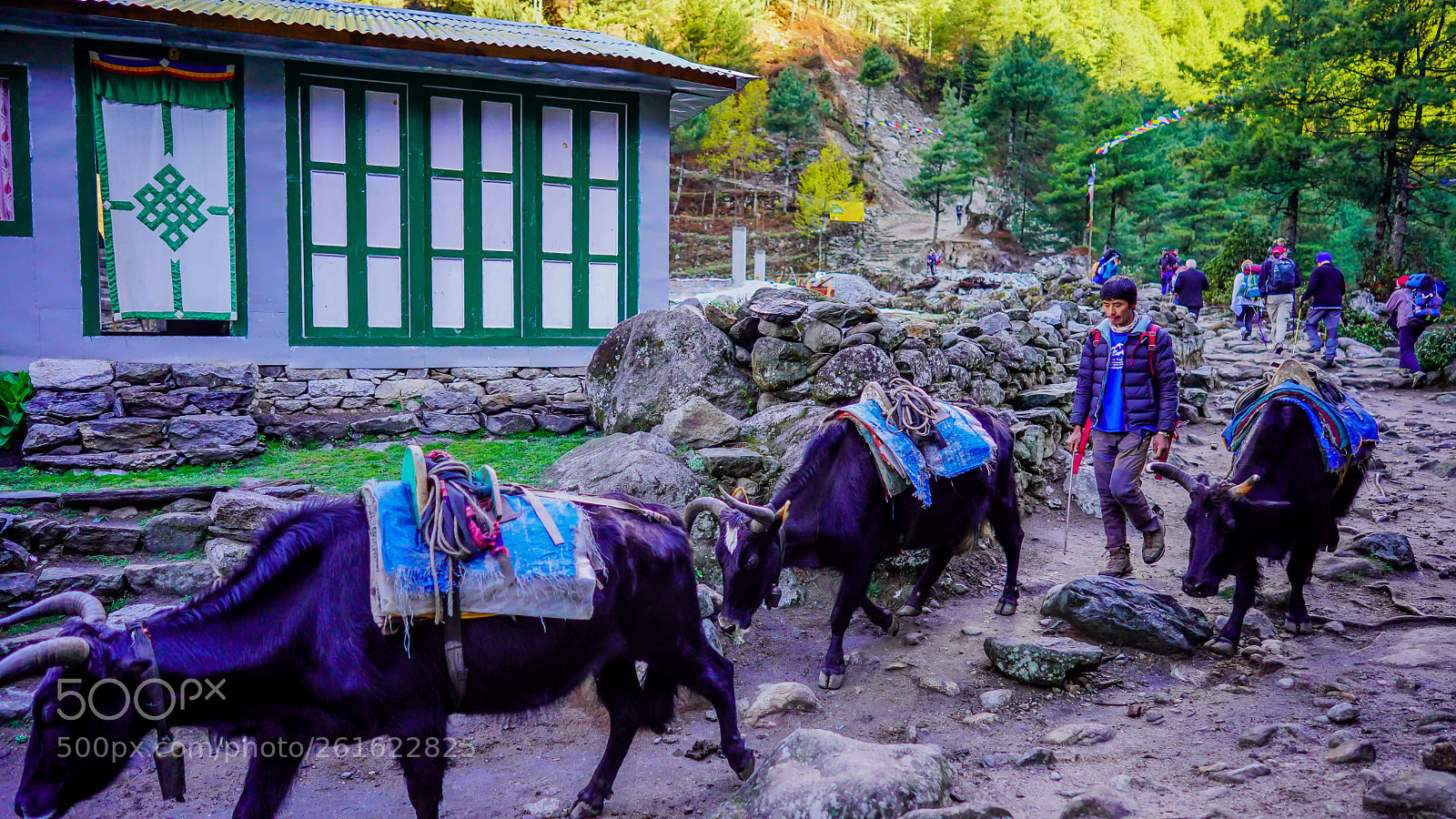 Sony a7 III sample photo. Dsc photography