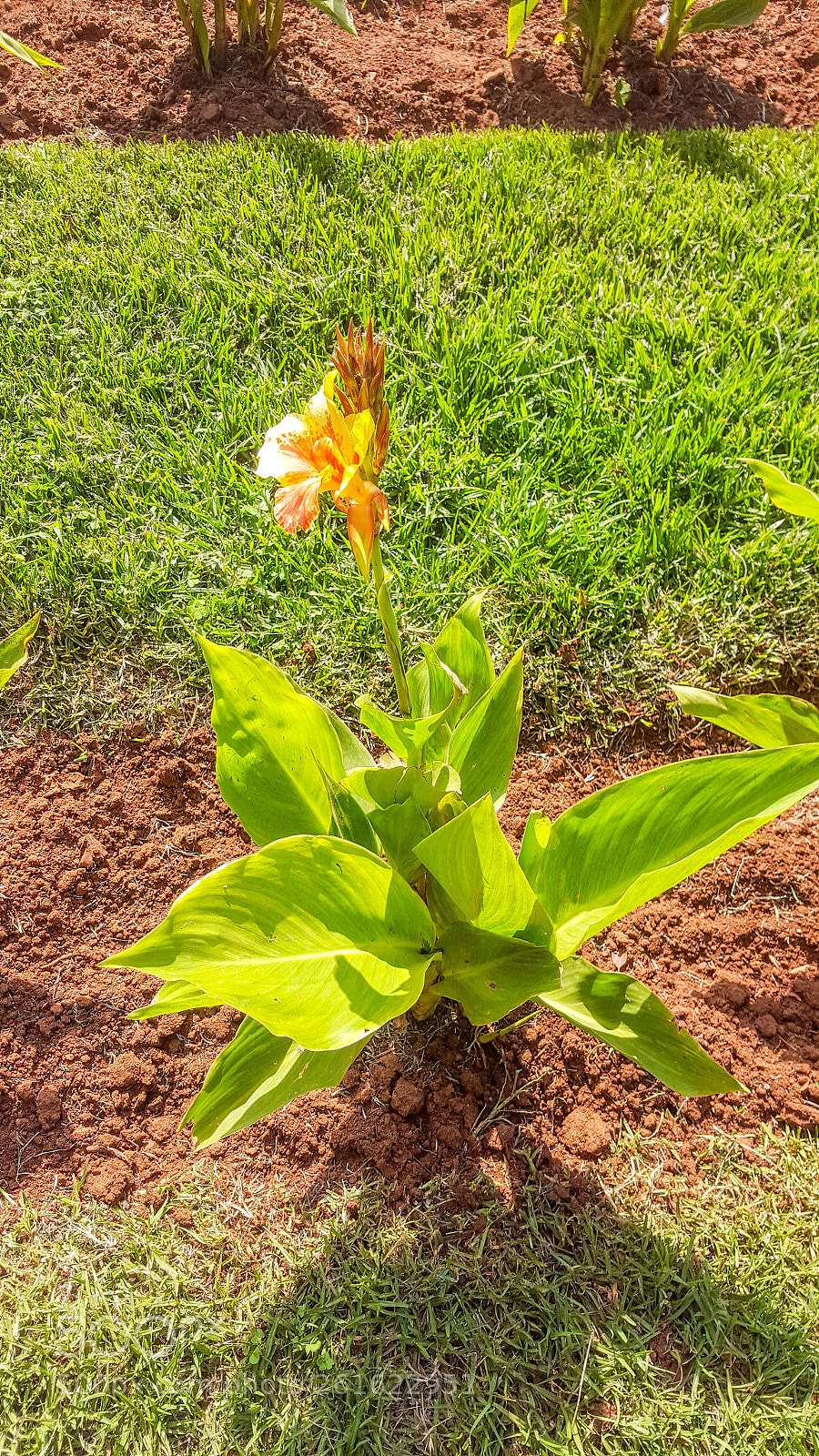 Samsung Galaxy S6 sample photo. [][] photography