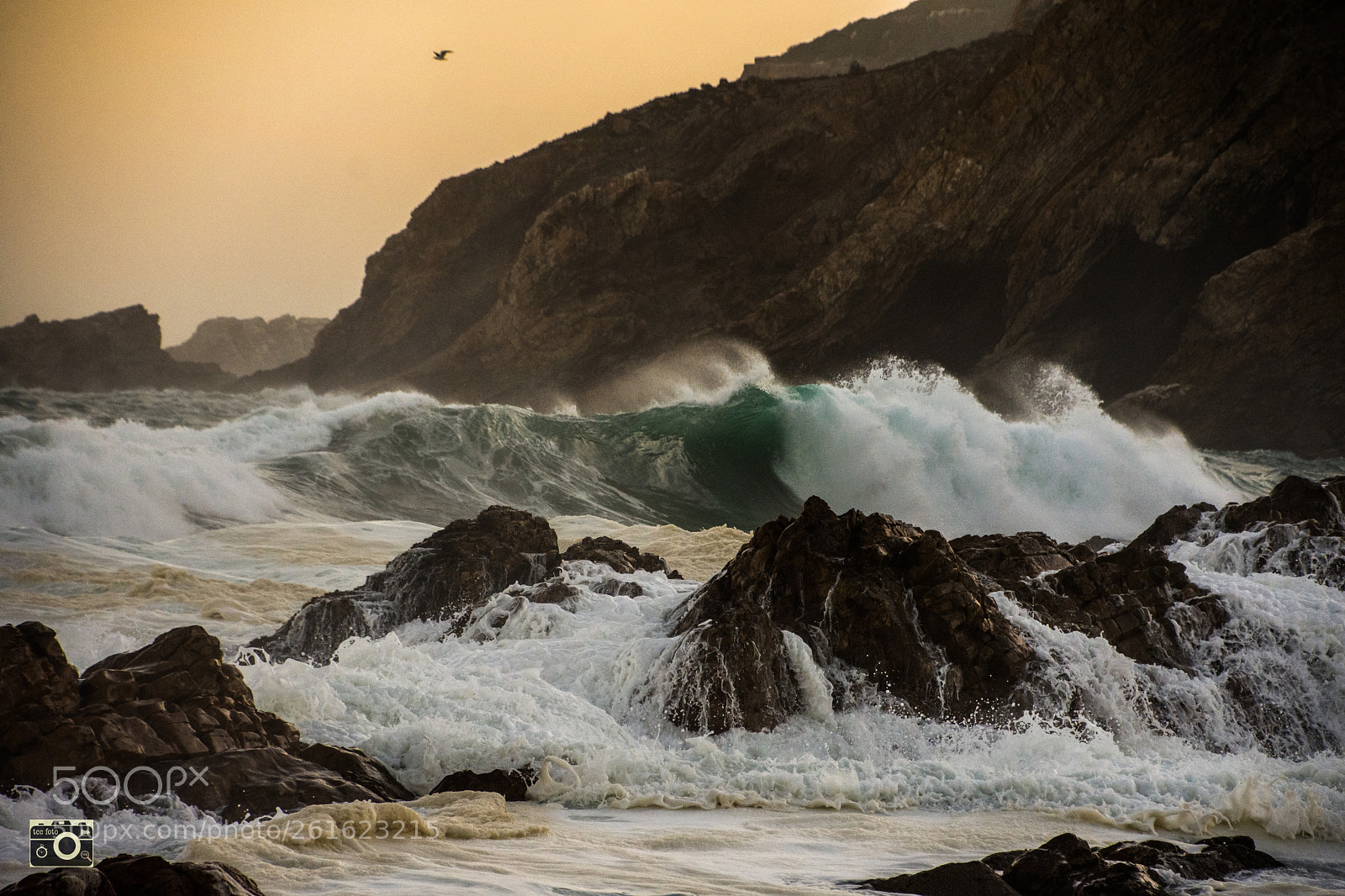 Nikon D7200 sample photo. Mosselbay point south africa photography
