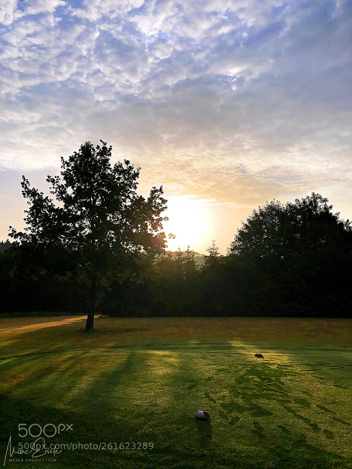 Apple iPhone X sample photo. Footsteps on the 12th photography