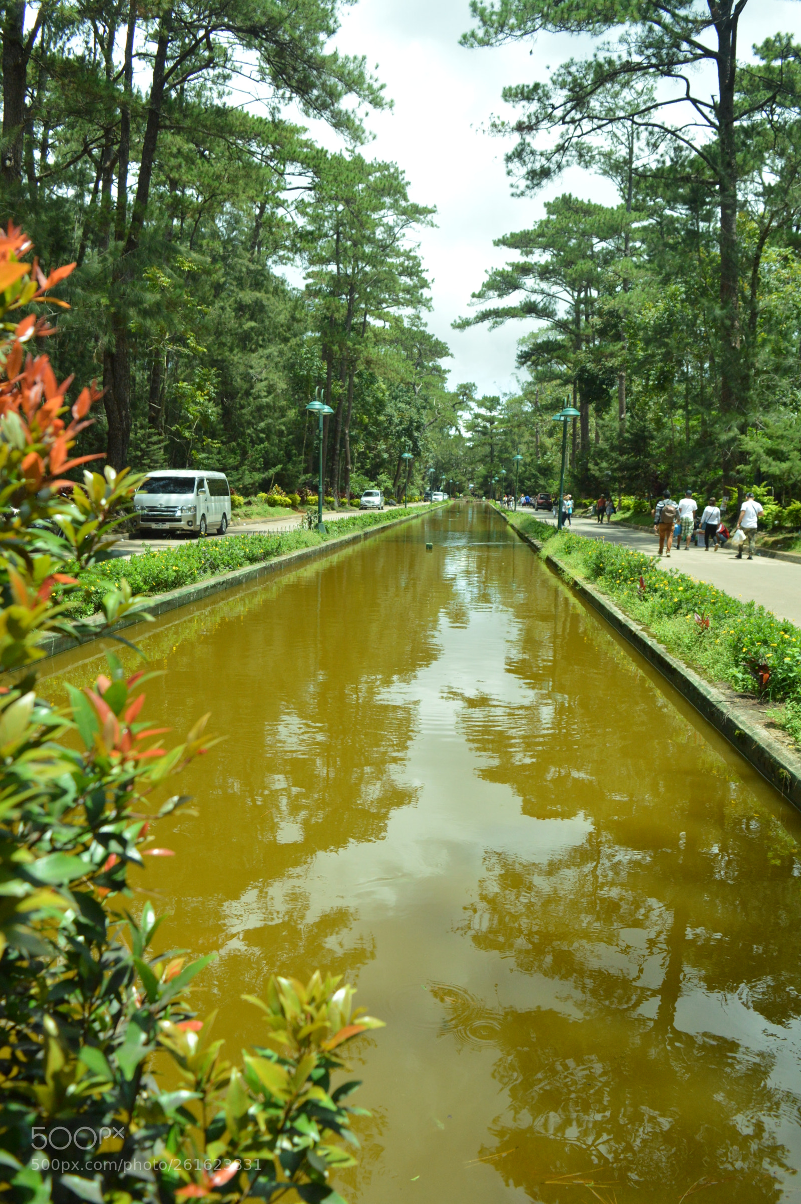 Nikon D3200 sample photo. Wright park photography