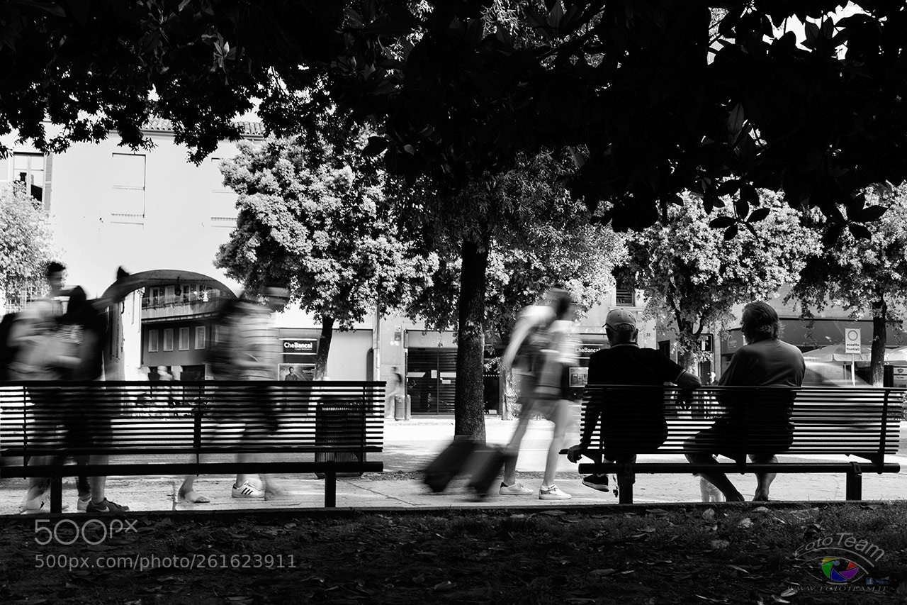 Canon EOS 6D sample photo. Movement photography