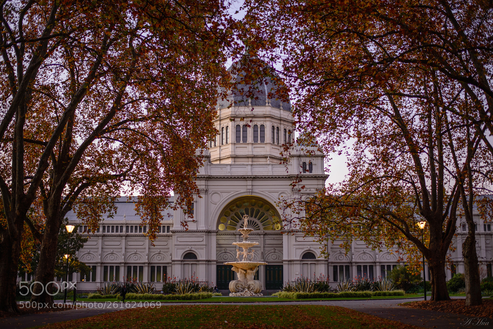 Nikon D610 sample photo. Dusk colours photography