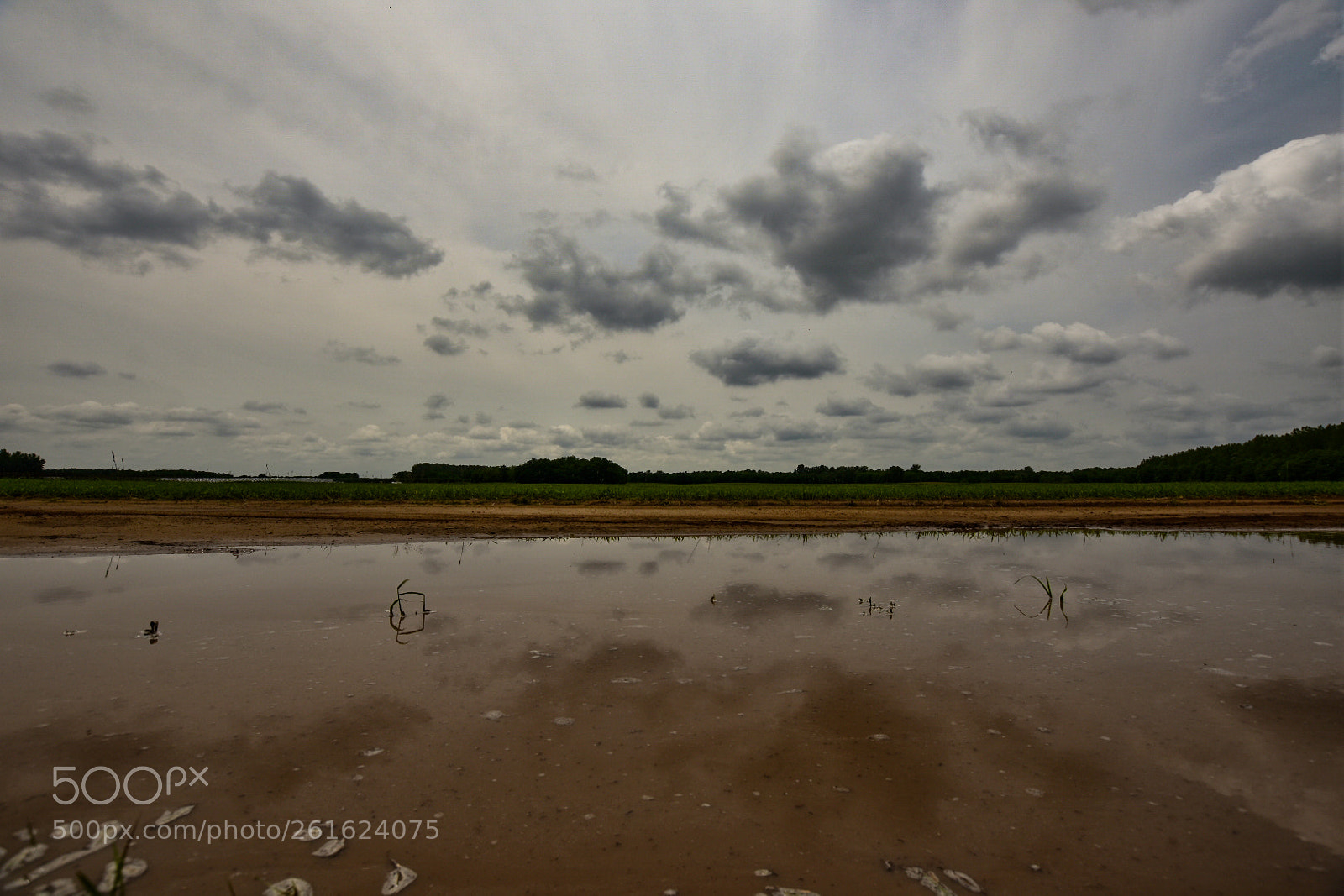 Nikon D7200 sample photo. Untitled photography