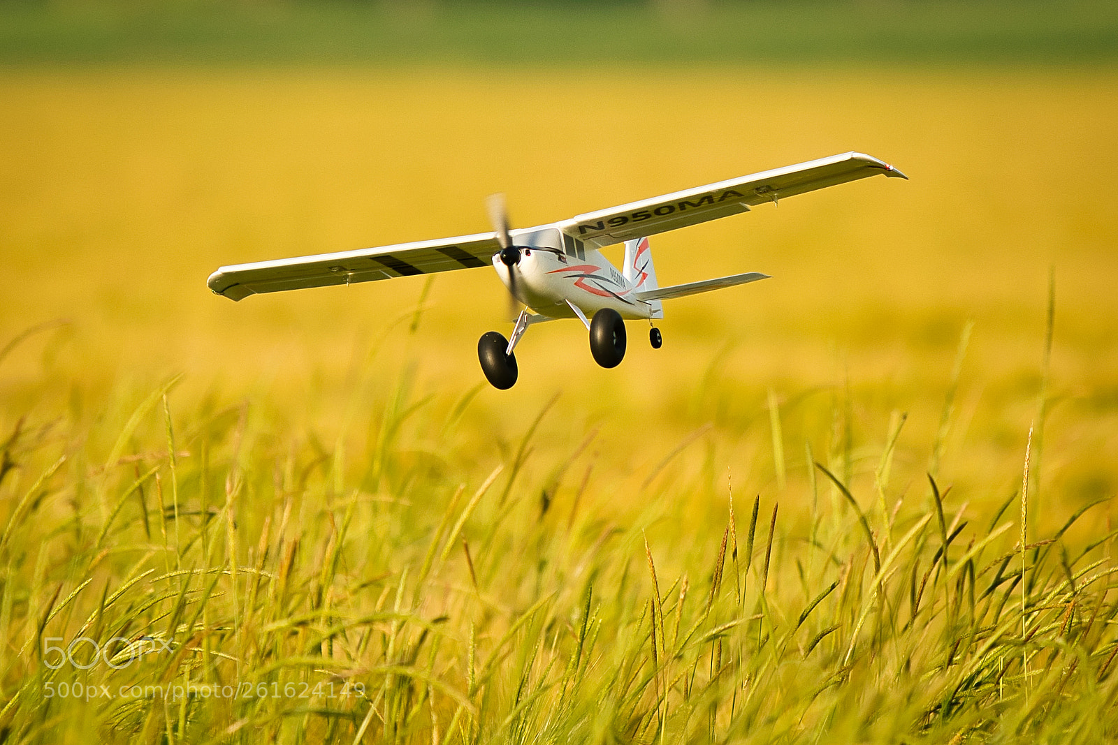 Nikon D5300 sample photo. Low-level flight photography