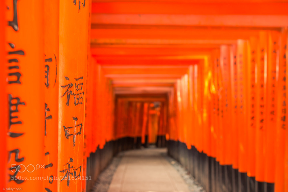 Canon EOS 70D sample photo. Fushimi inari shrine photography