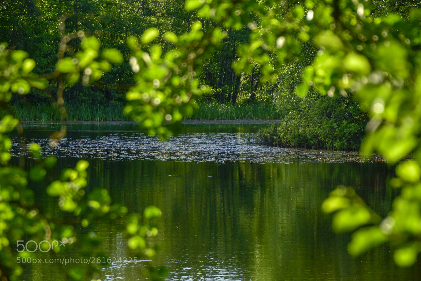 Nikon D5500 sample photo. Emån_01 photography