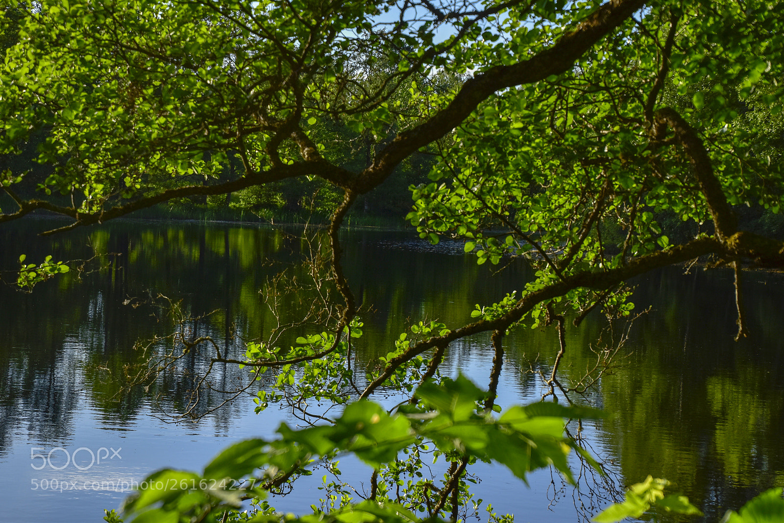 Nikon D5500 sample photo. Emån_02 photography