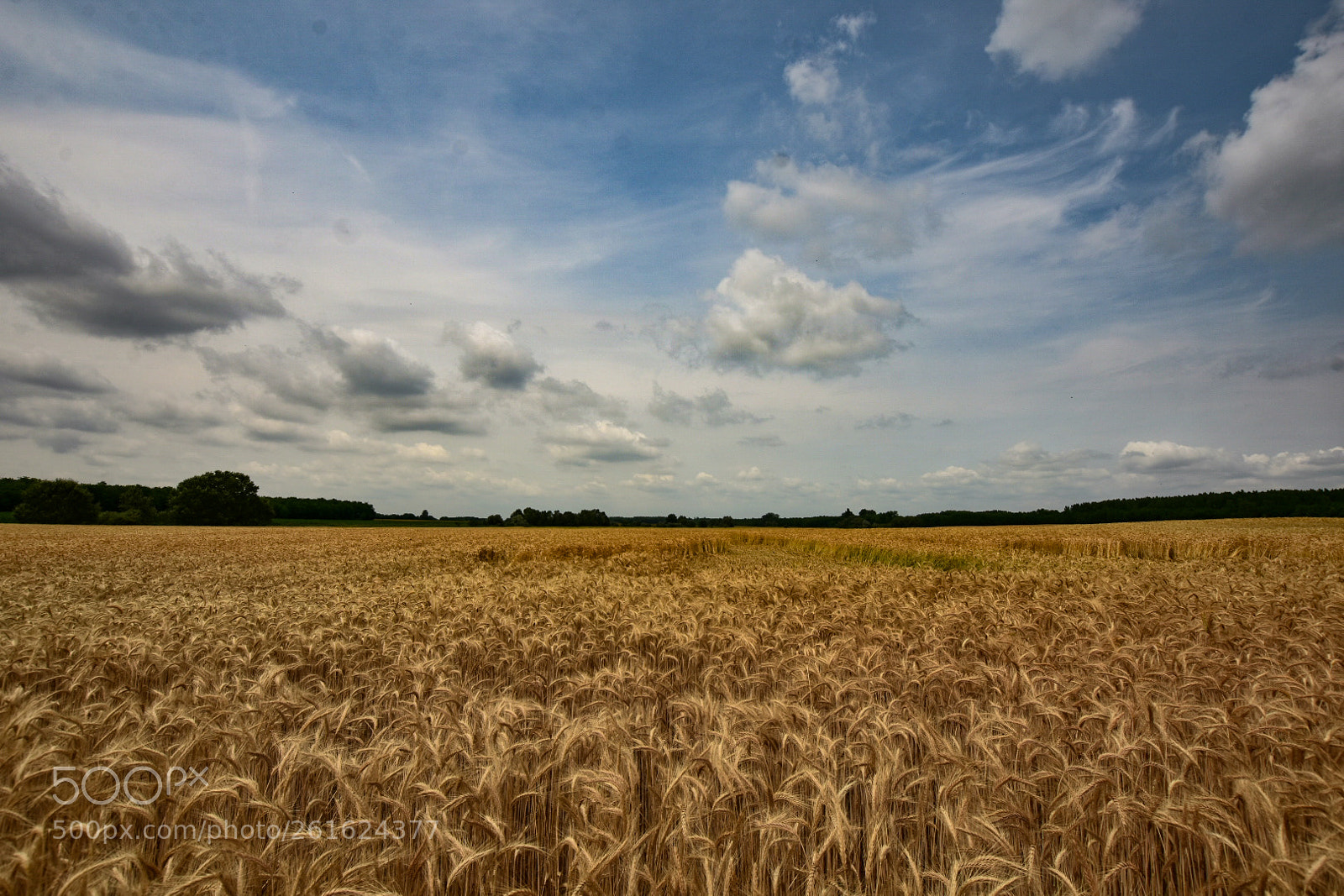 Nikon D7200 sample photo. Untitled photography