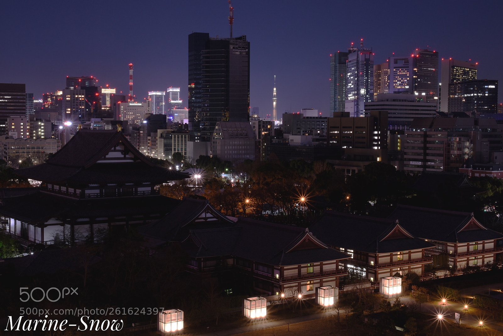 Nikon D7200 sample photo. Tokyo city photography