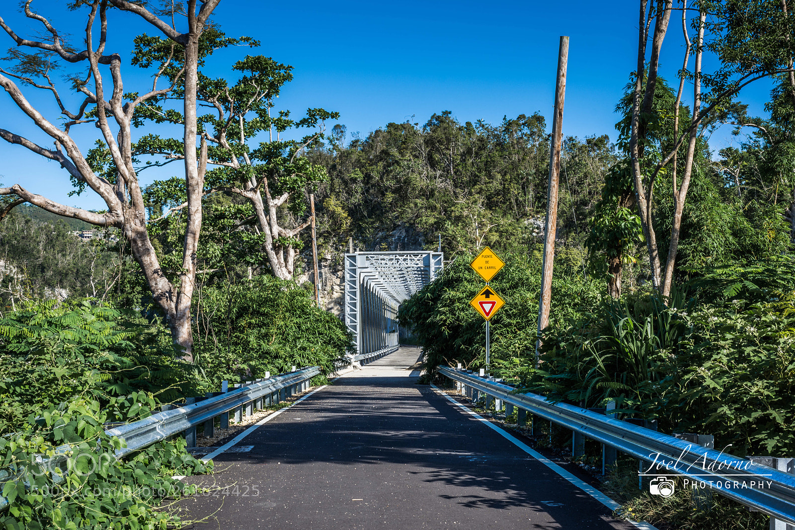 Nikon D7200 sample photo. Mata de pl tano photography