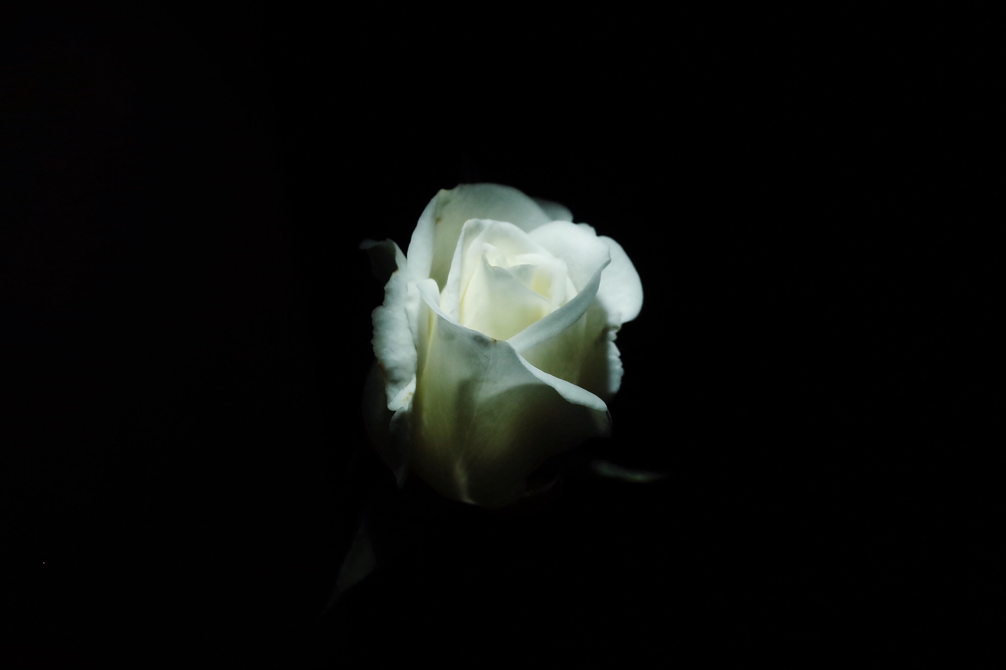 Ricoh GR II sample photo. Iceberg photography