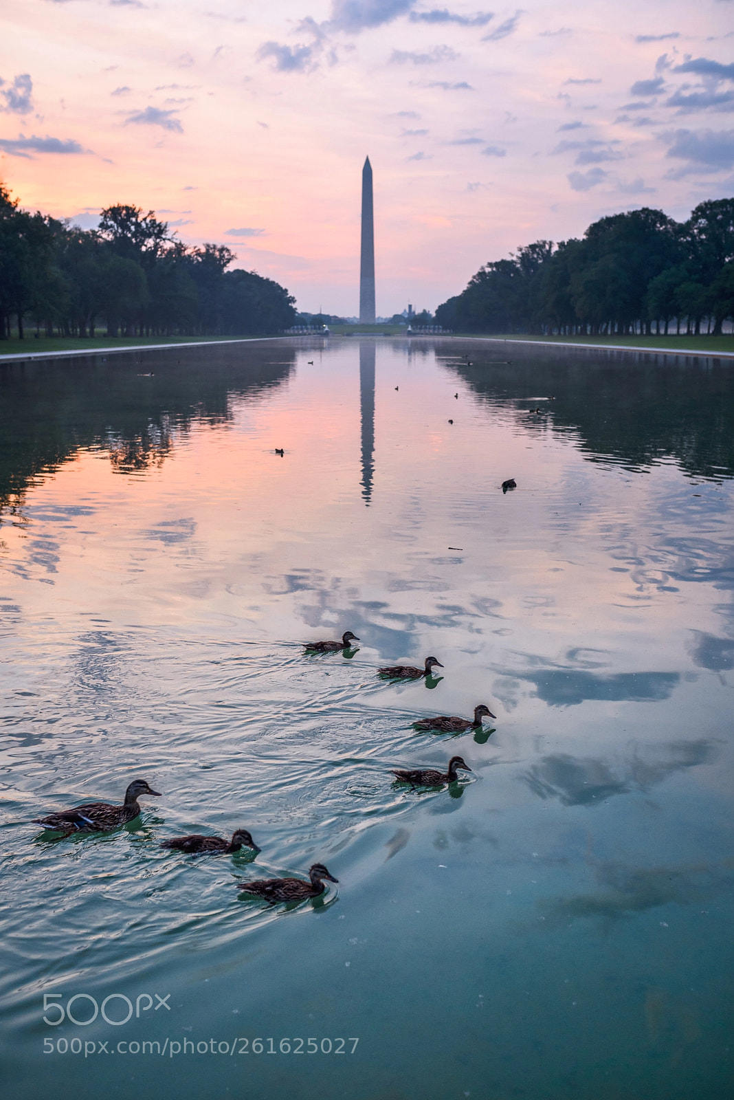 Nikon D750 sample photo. Washington morning photography