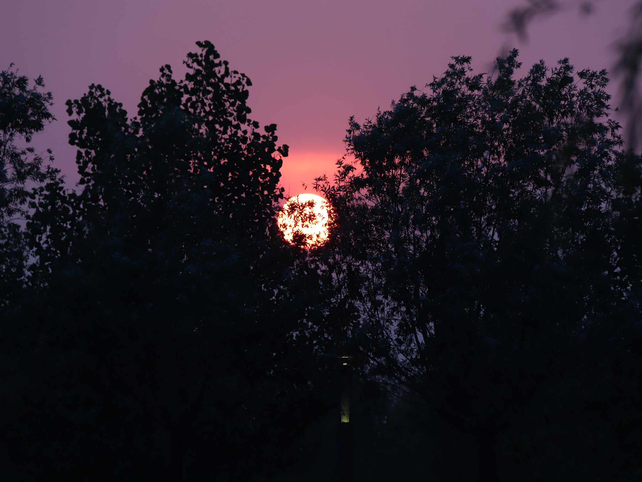 Canon EOS 77D (EOS 9000D / EOS 770D) sample photo