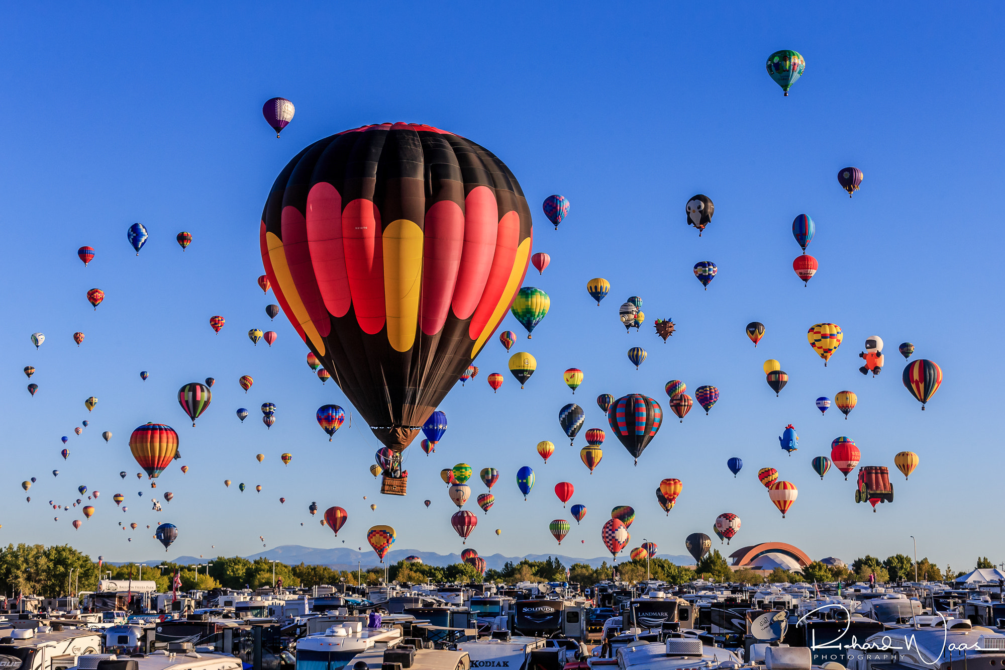 Canon EOS-1D X sample photo. Up up and away photography