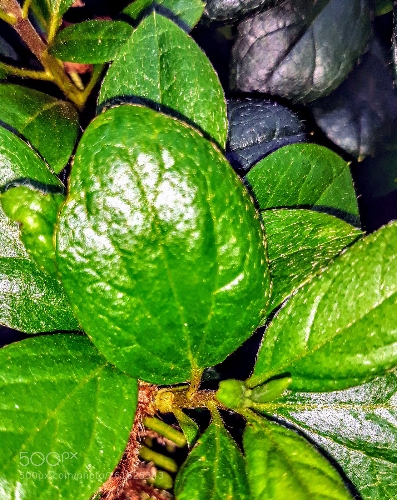 Samsung Galaxy J5 sample photo. Untitled photography