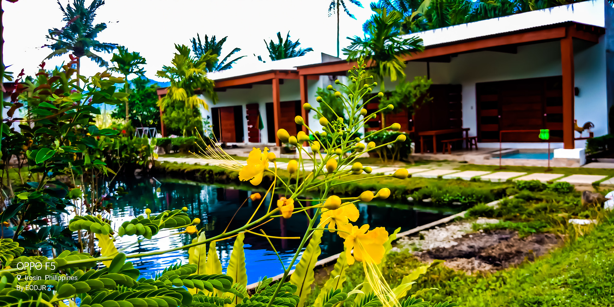 OPPO CPH1723 sample photo. Vacation spot photography