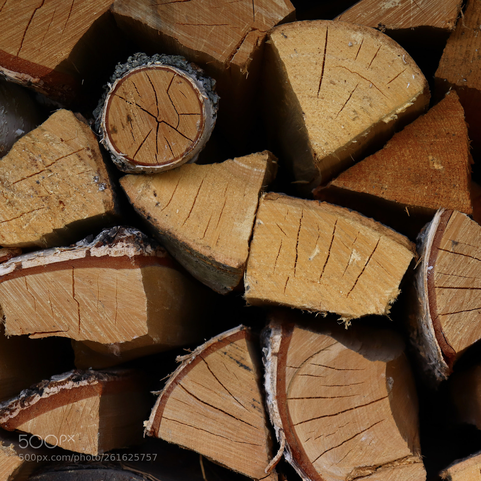 Canon EOS 77D (EOS 9000D / EOS 770D) sample photo. The odd one out photography