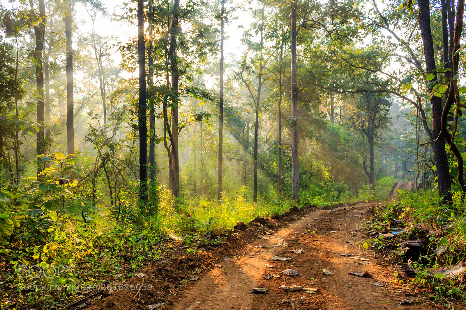 Canon EOS 7D sample photo. Welcome to jungle.. photography