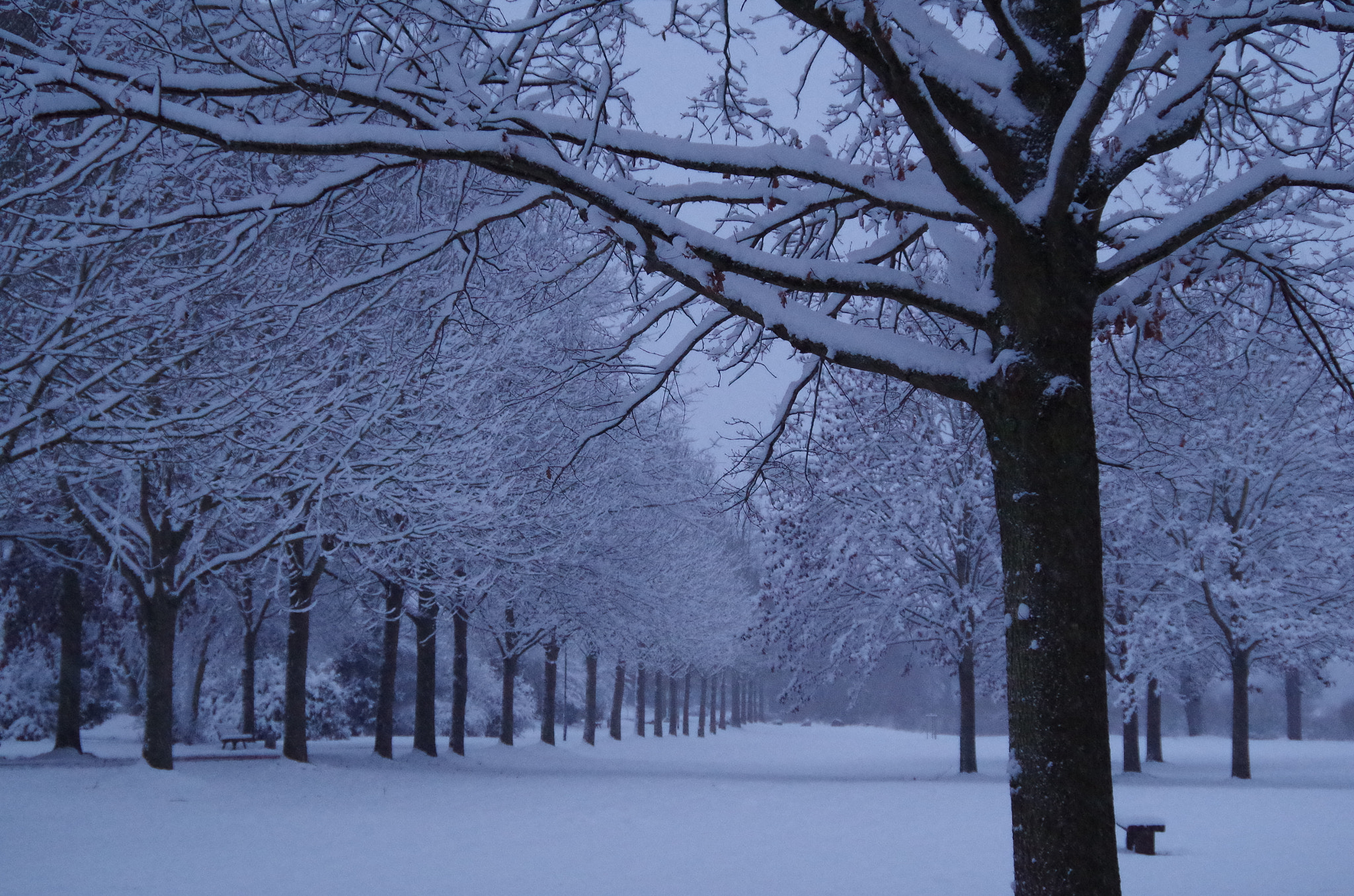 Pentax K-50 sample photo. Winter alley photography