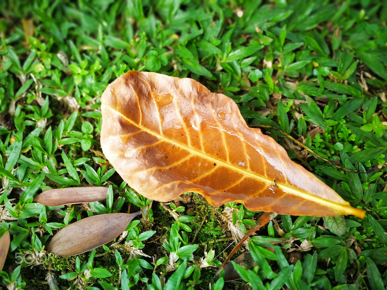 HUAWEI Mate 9 sample photo. Indonesia photography