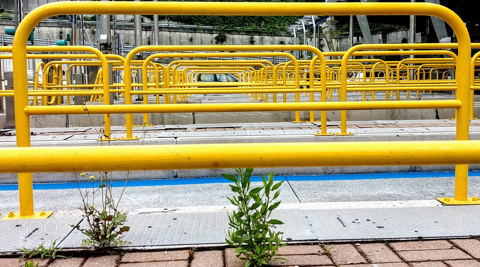 LG G6 sample photo. L intruso photography