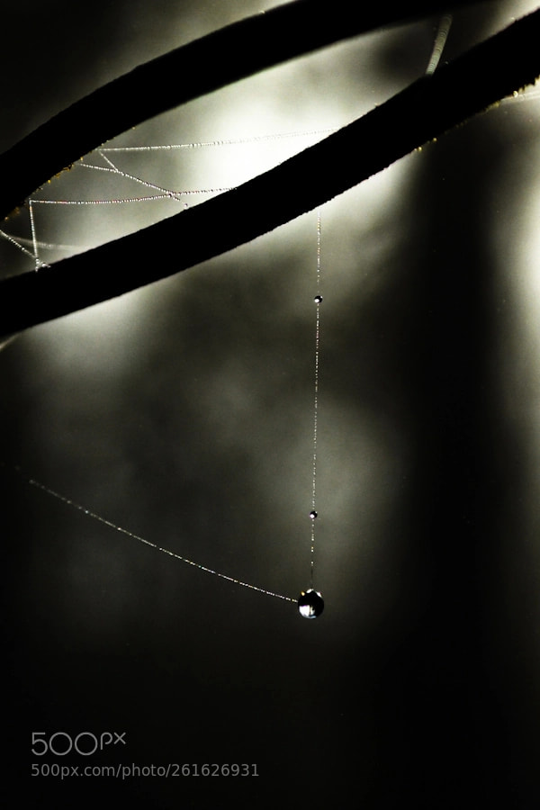 Nikon D3100 sample photo. Estemporaneita` delle cose photography