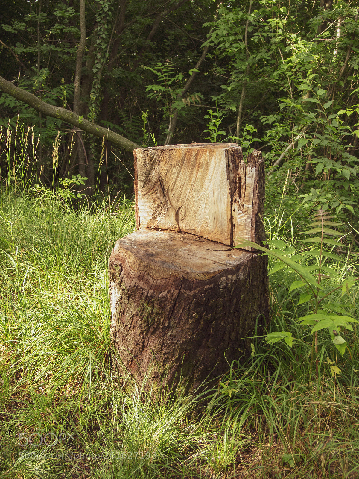 Olympus PEN E-PL3 sample photo. Green val rosandra photography