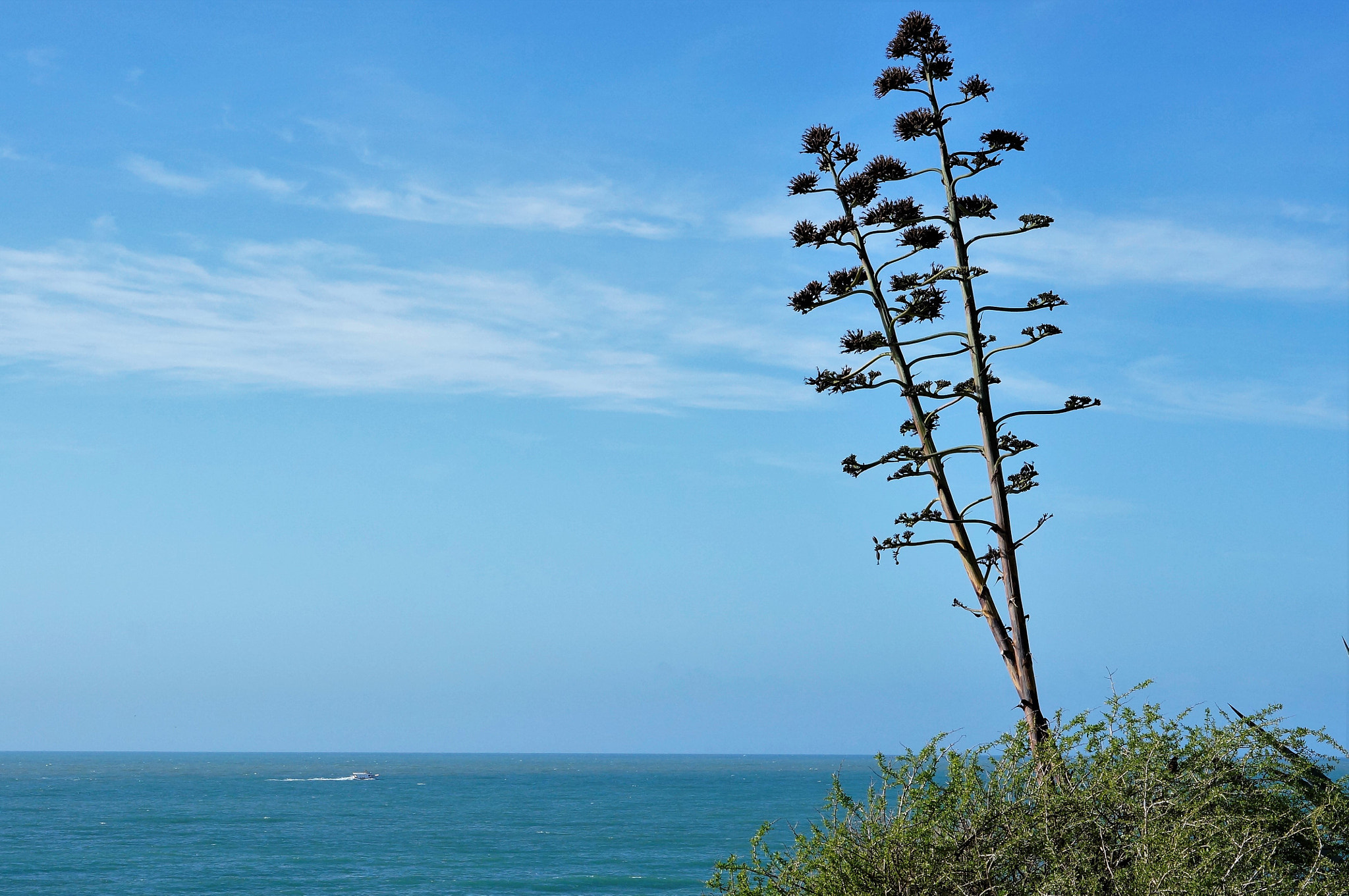 Sony Alpha NEX-5T sample photo. Cel d'hivern a la costa gaditana. photography