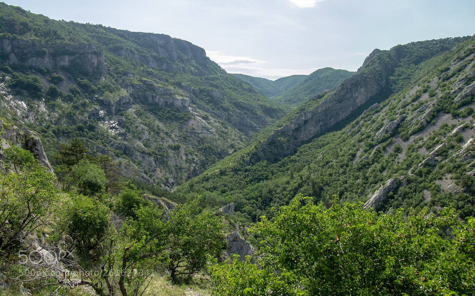 Olympus PEN E-PL3 sample photo. Green val rosandra photography