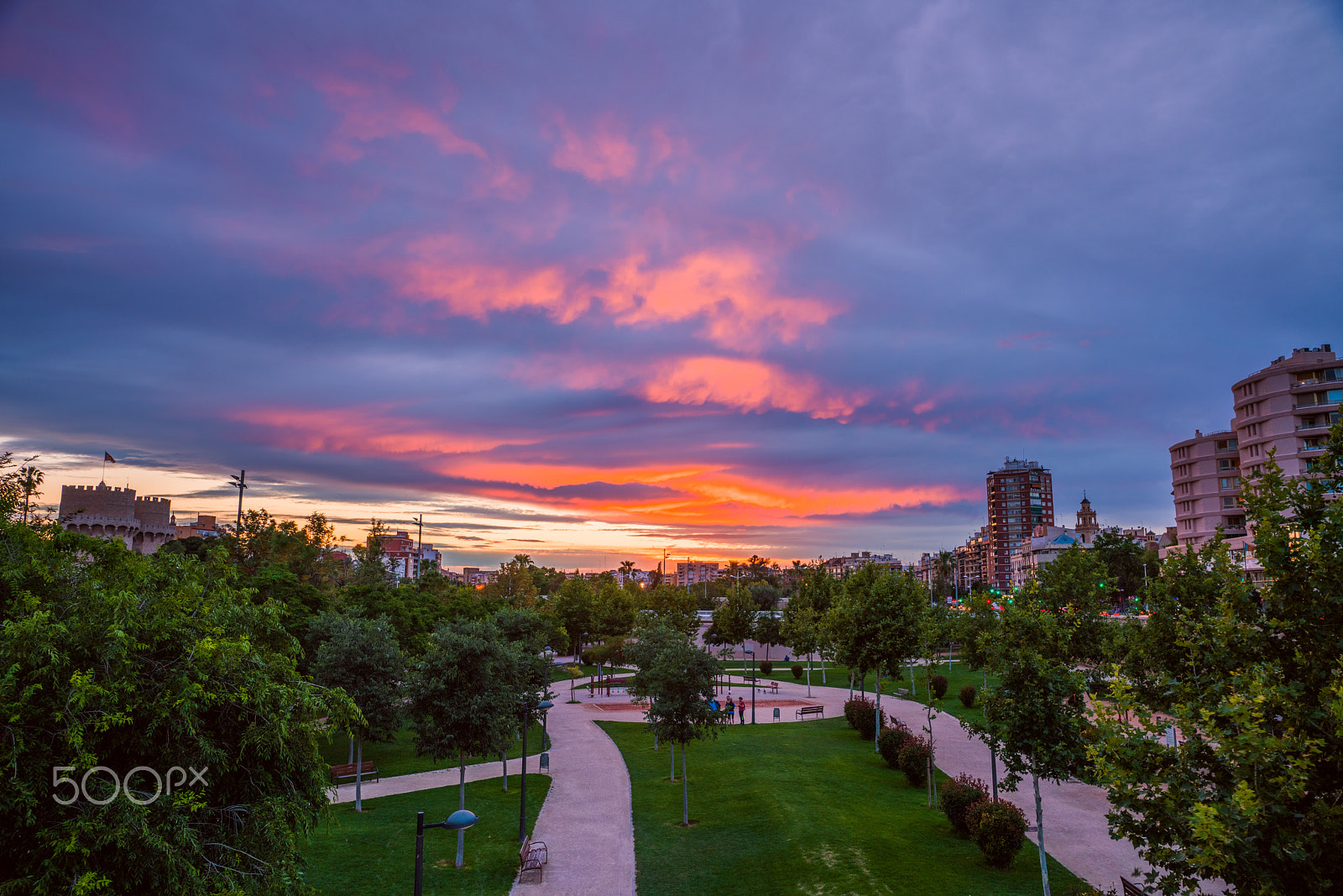 Sony a99 II sample photo. A bright sunset in the park of turia before the rain. valencia, spain photography