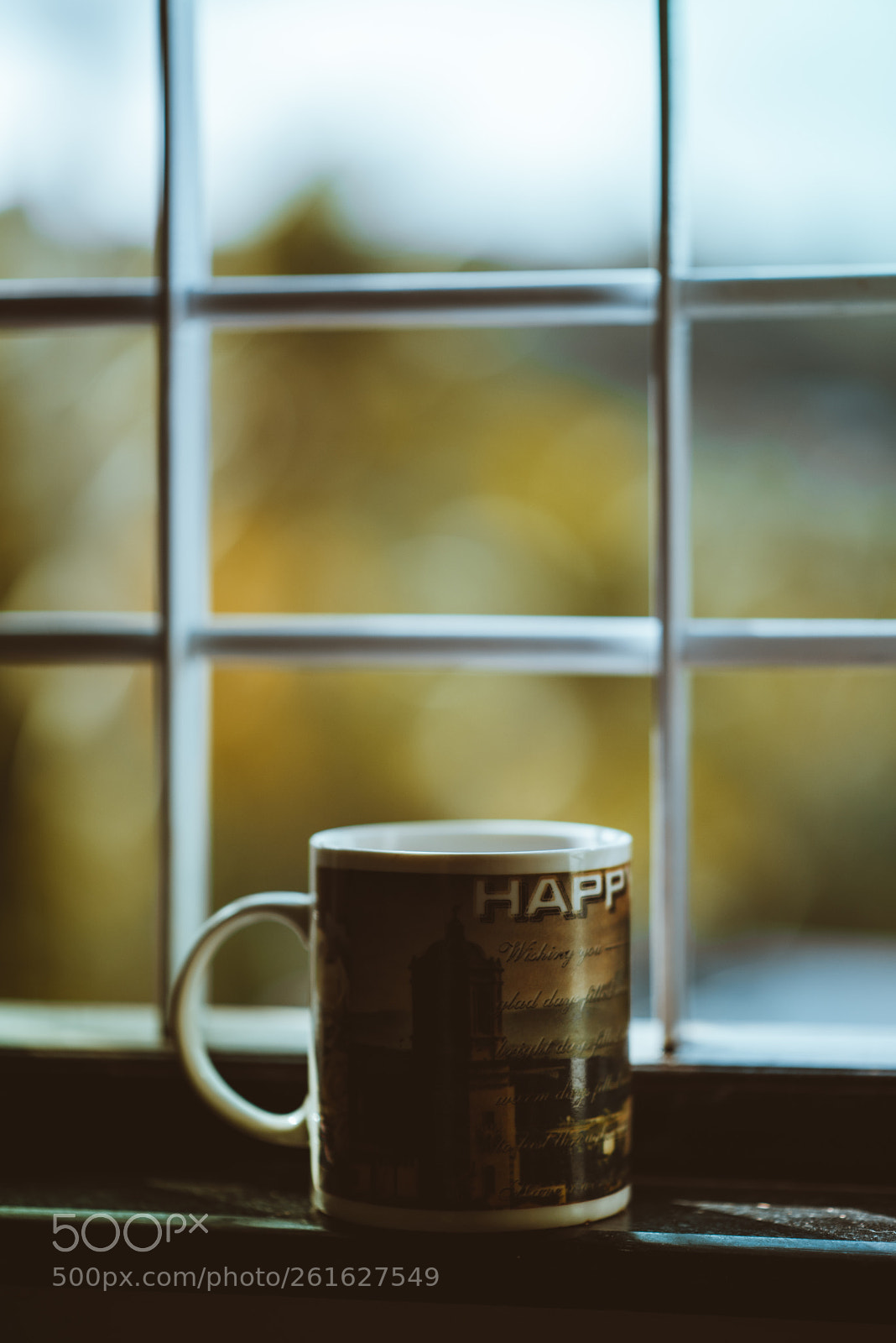 Nikon D810 sample photo. Moody photography