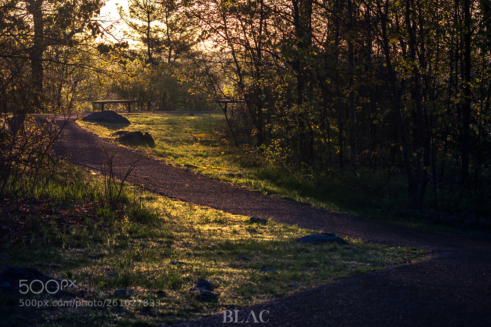 Canon EOS 60D sample photo. Green path photography
