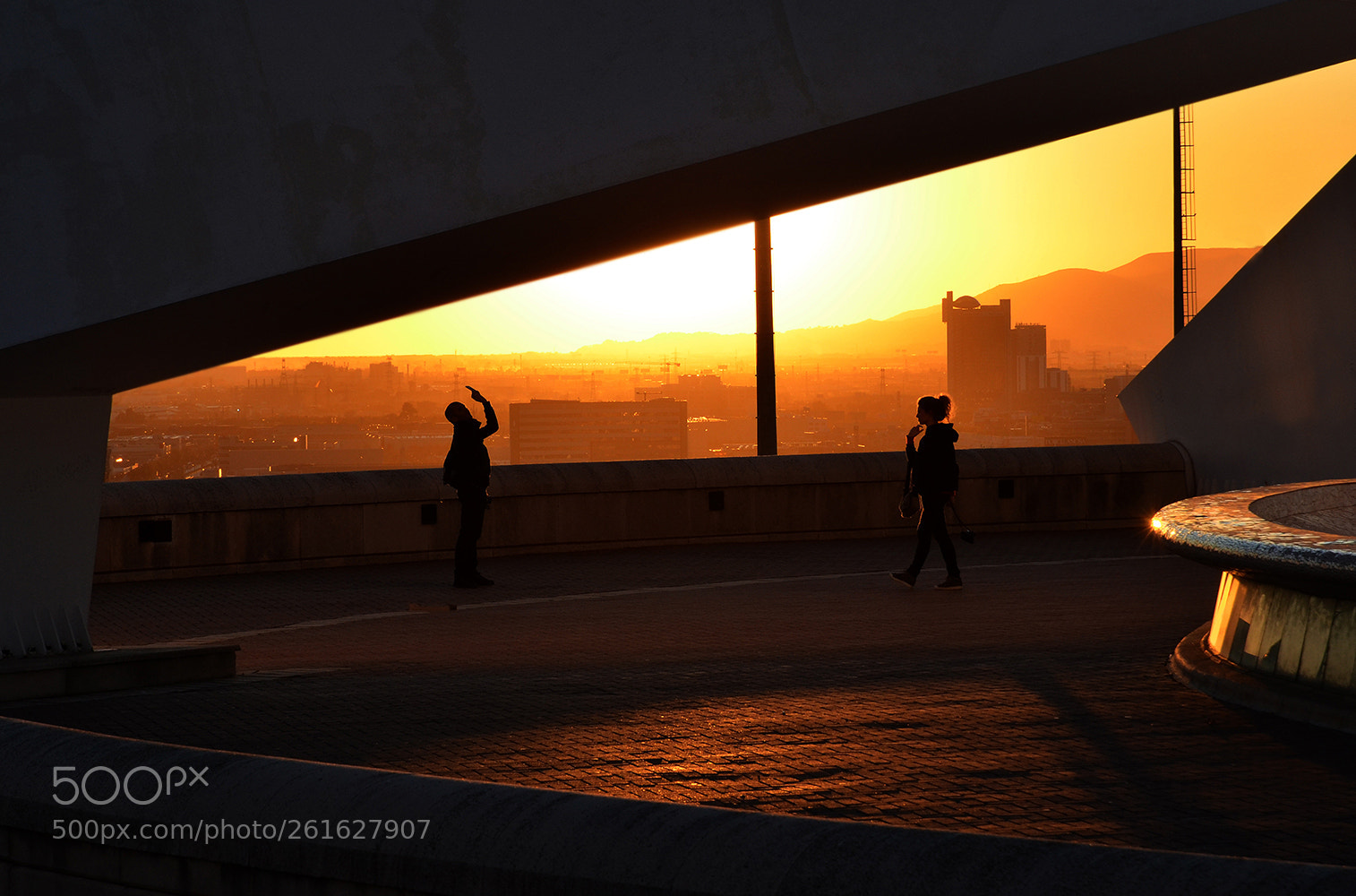 Nikon D5100 sample photo. Backlight photography
