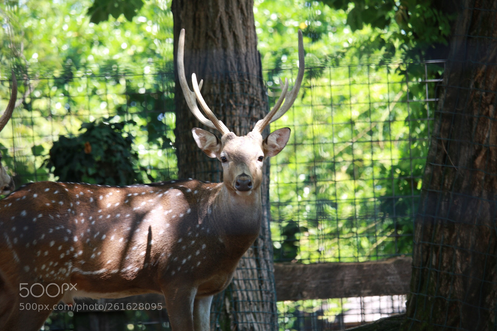 Canon EOS 70D sample photo. Untitled photography