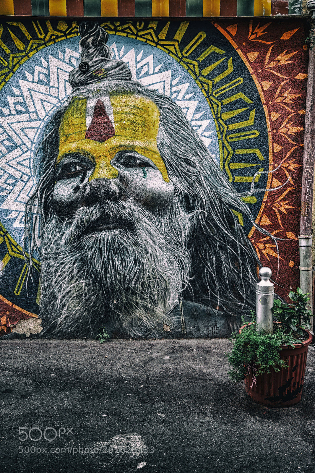 Nikon D5600 sample photo. Yogigraff photography