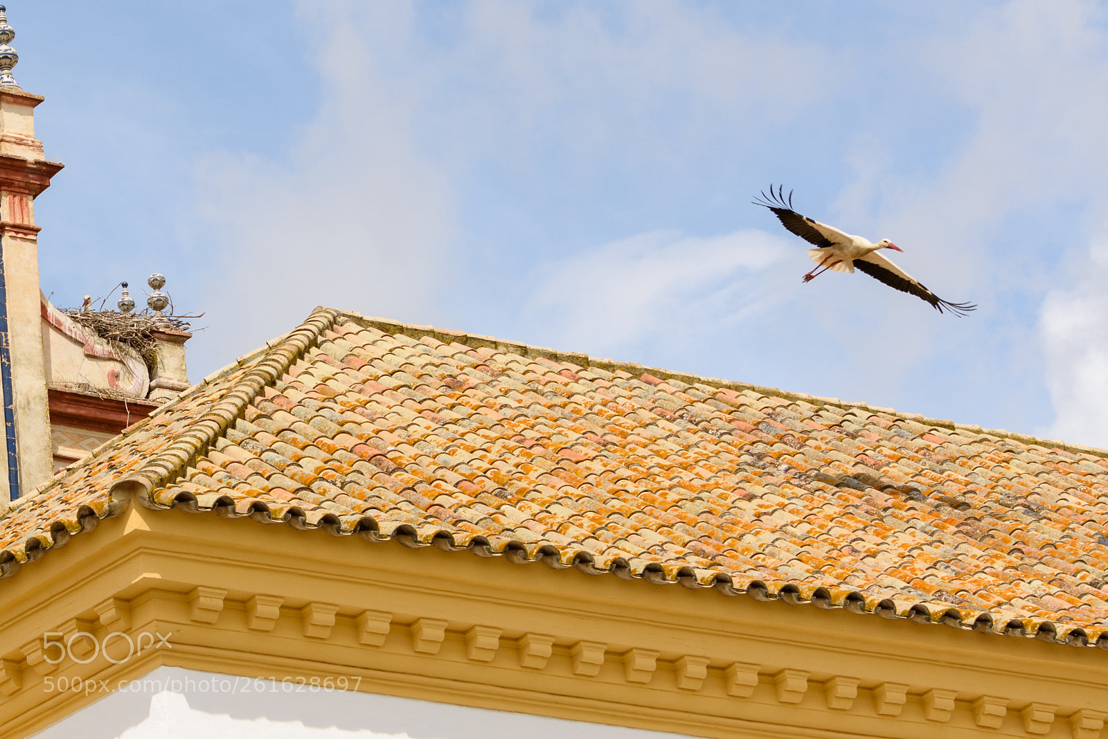 Nikon D7200 sample photo. Stork photography