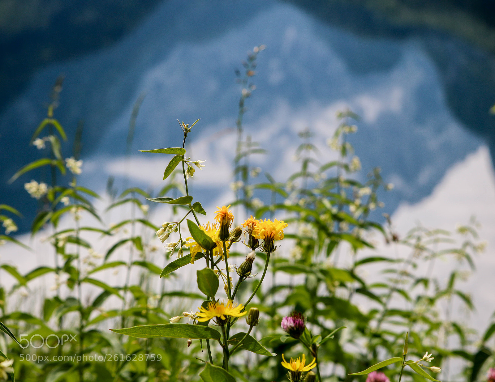 Canon EOS 750D (EOS Rebel T6i / EOS Kiss X8i) sample photo. Verkehrte ansicht... photography