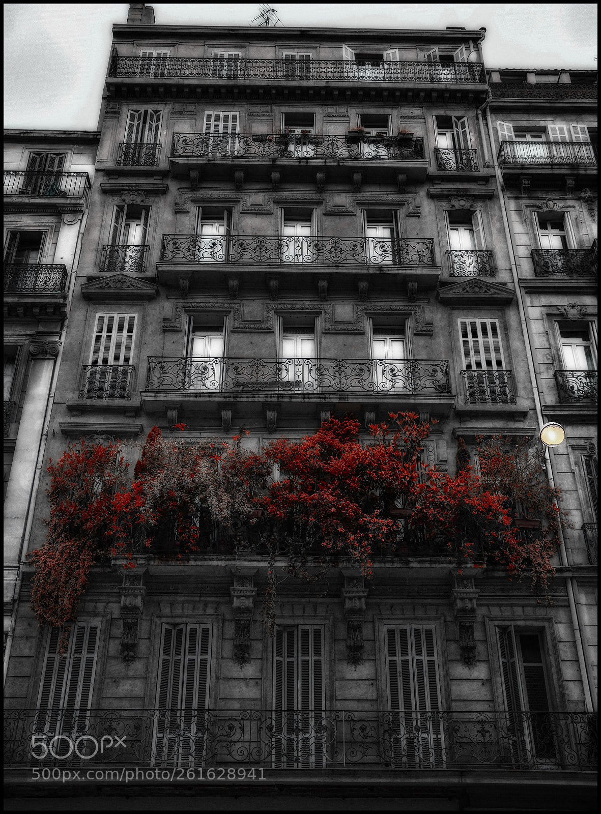 Nikon D5600 sample photo. Red balcony photography
