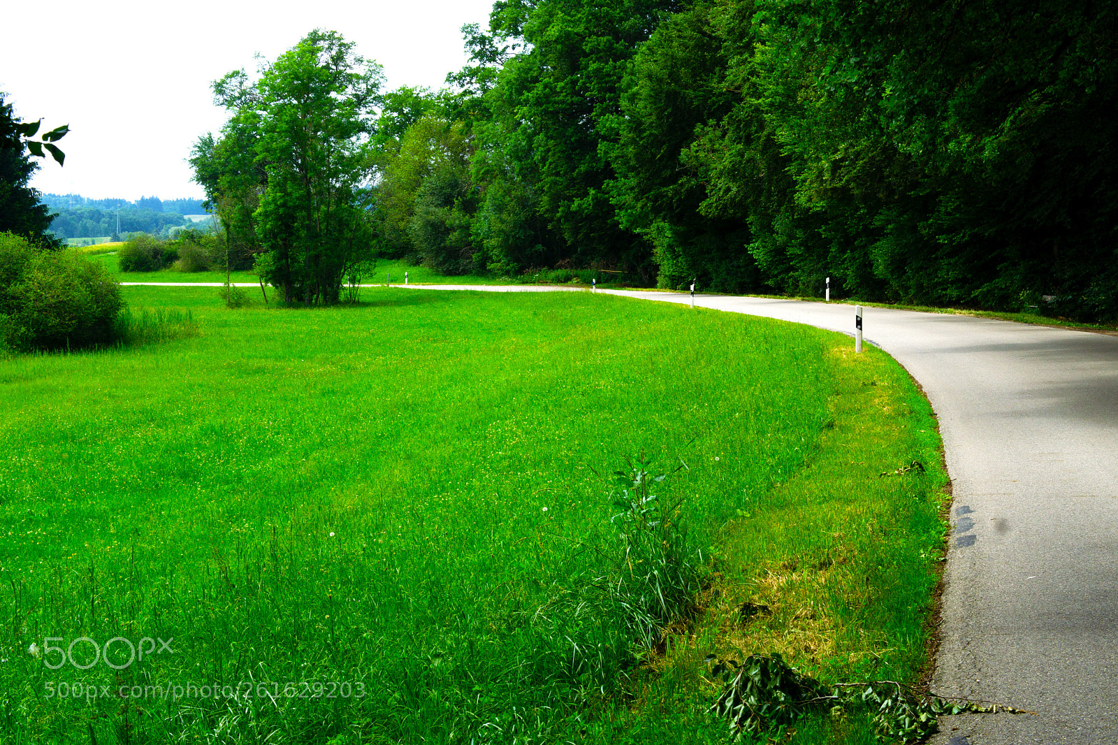 Sony a6000 sample photo. Die windstille wiese zwischenfeldafing photography