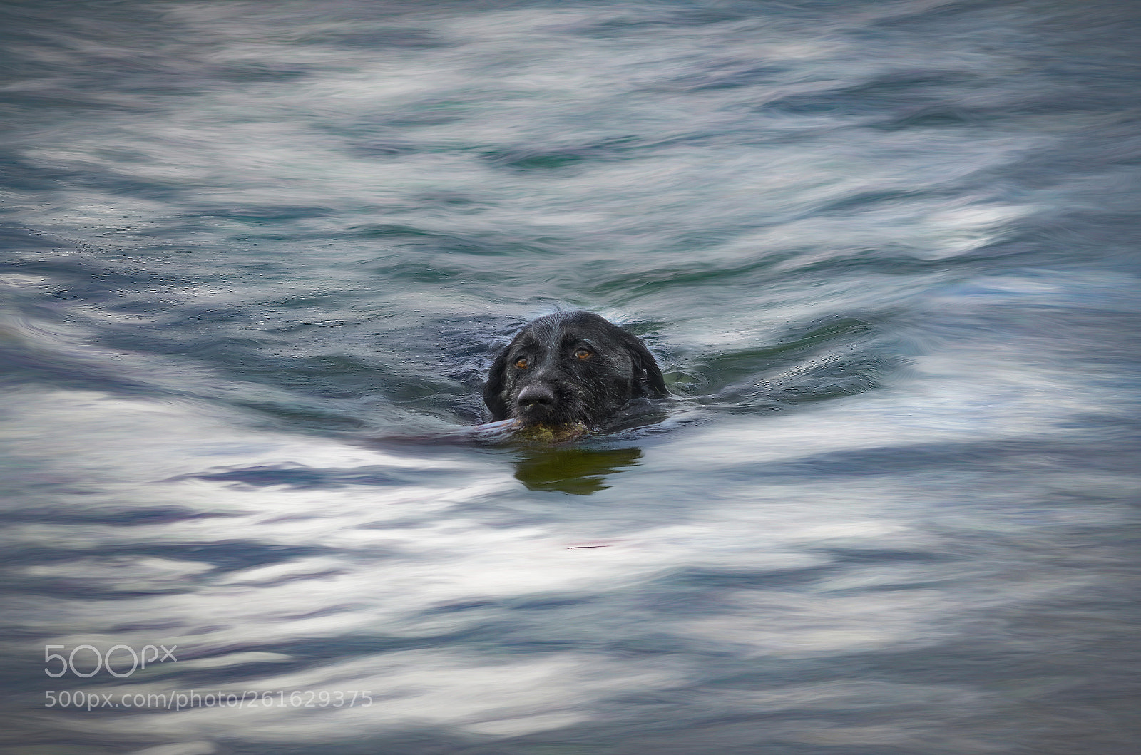 Nikon D7000 sample photo. Sailing the high seas photography