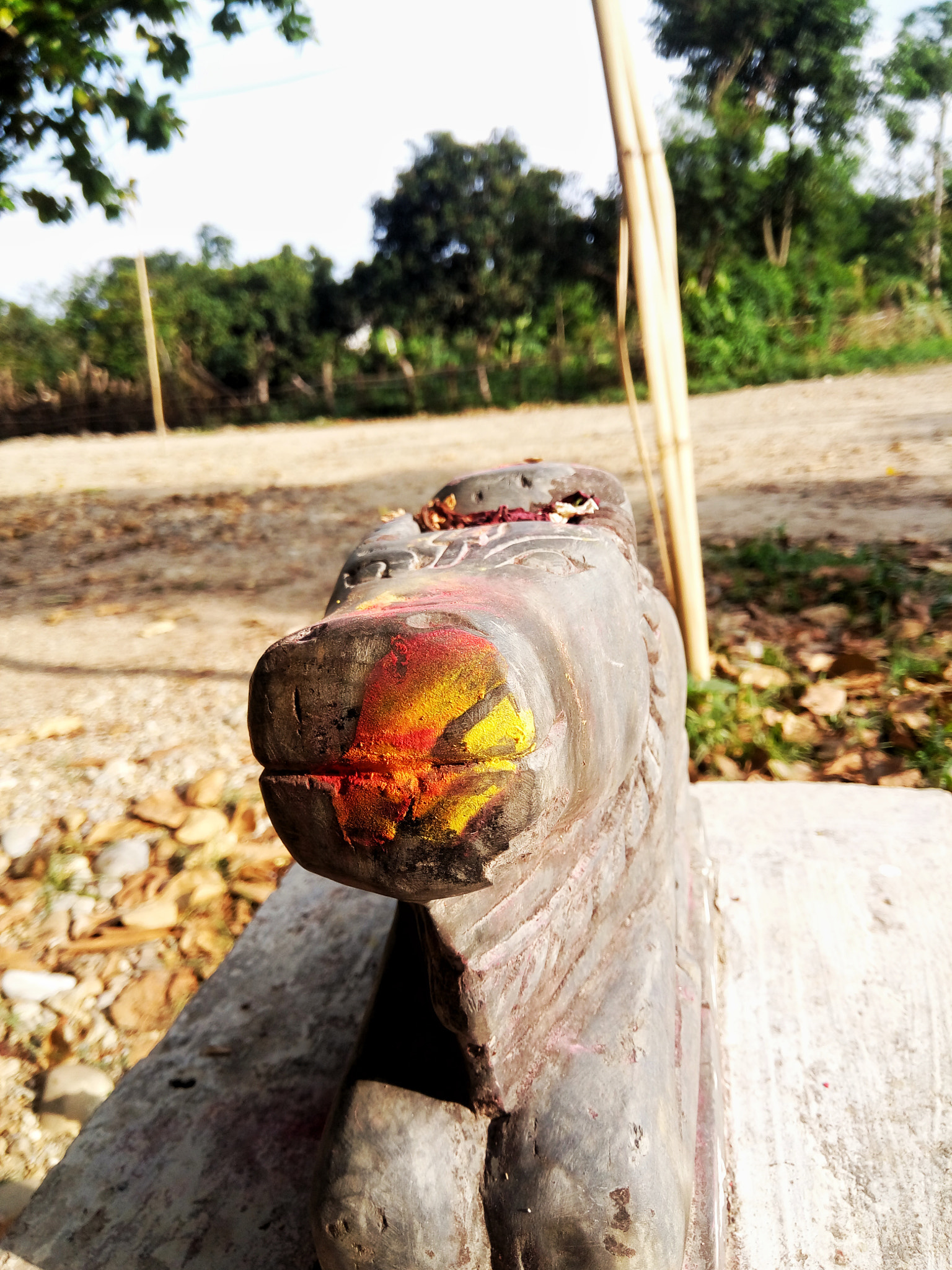 GIONEE A1 lite sample photo