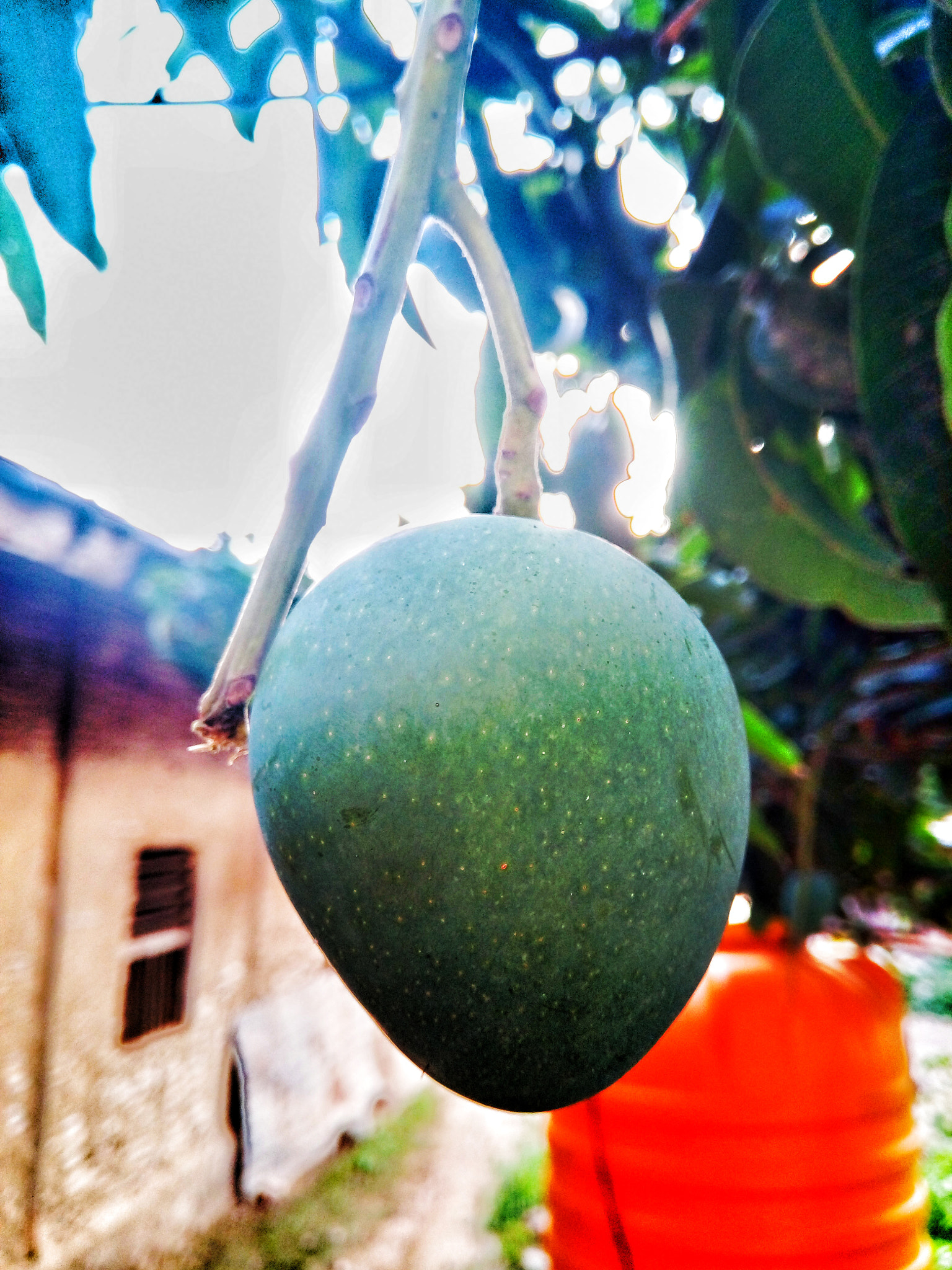 GIONEE A1 lite sample photo