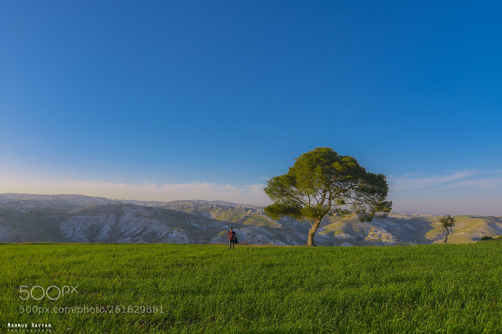 Nikon D500 sample photo. Tree of dreams photography