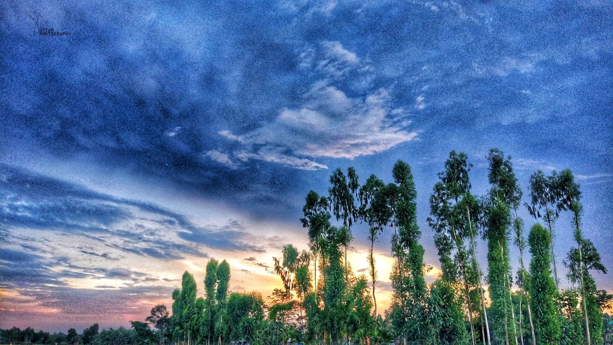 Xiaomi MI 5 sample photo