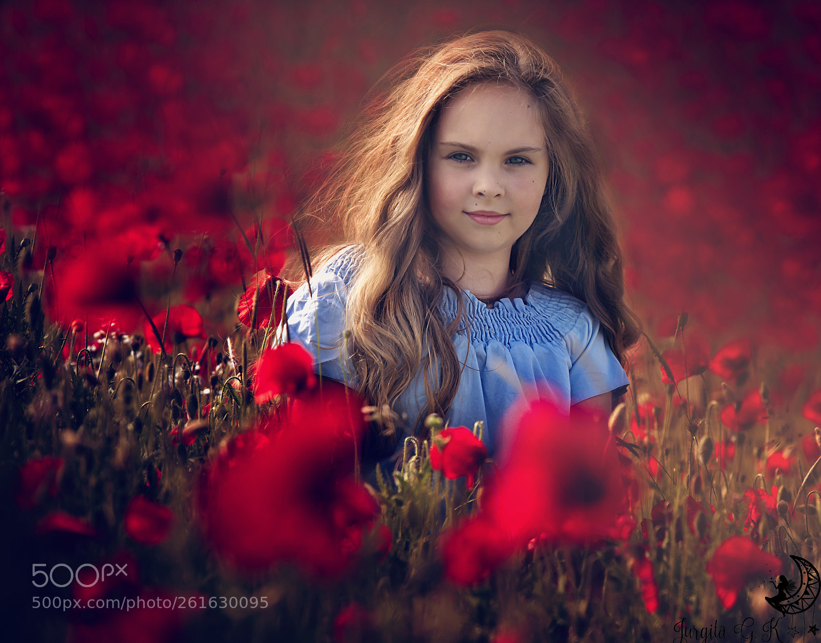 Nikon D750 sample photo. Field of fire photography