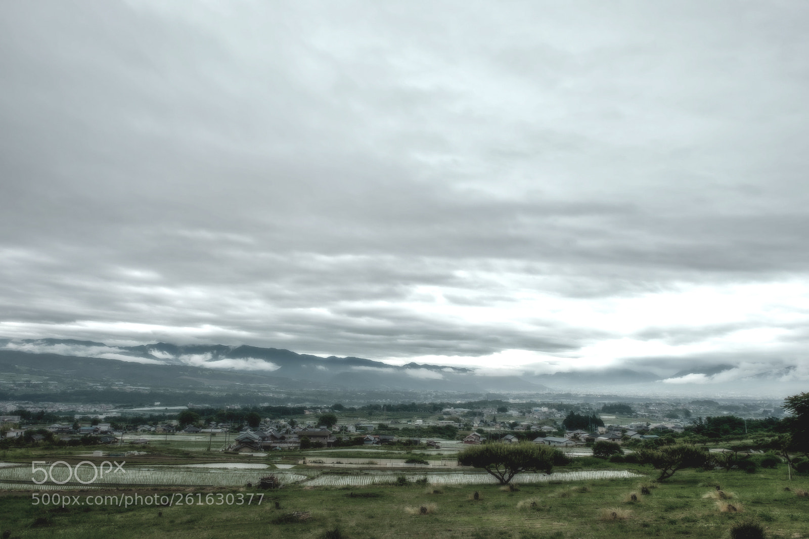 Fujifilm X-T2 sample photo. Cloudy sky -曇- photography