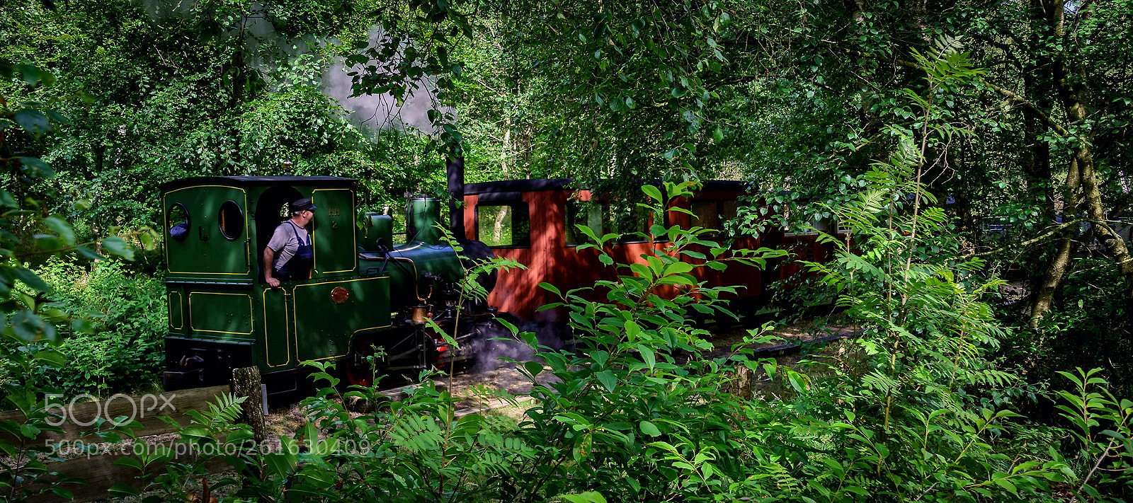 Sony ILCA-77M2 sample photo. Forest steam railway photography