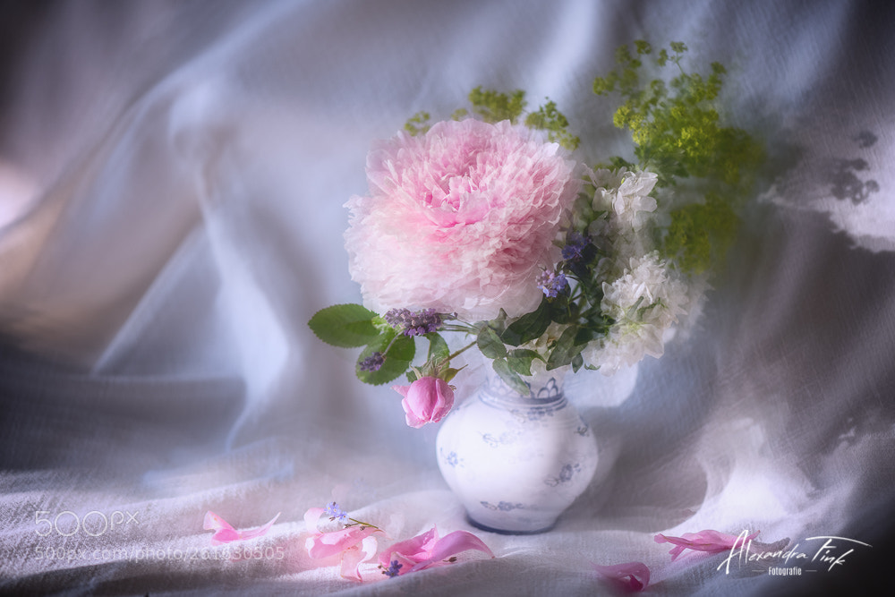 Nikon D850 sample photo. Likeadream x photography
