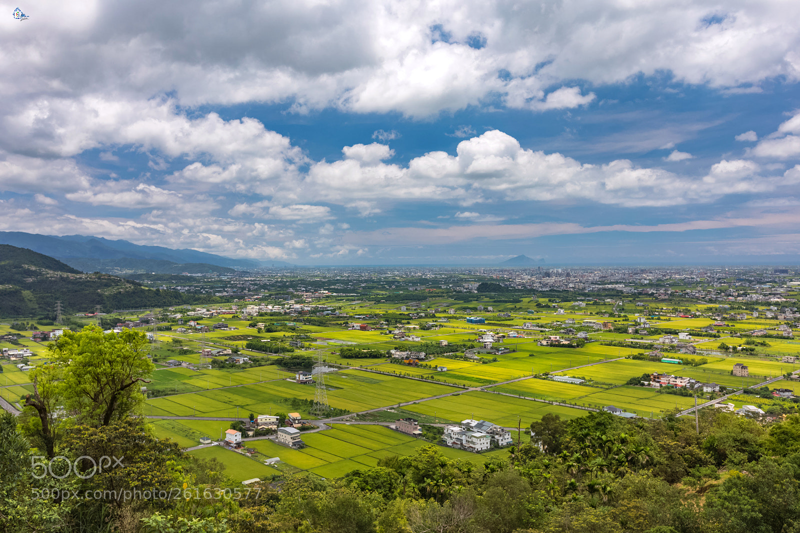 Canon EOS 5D Mark IV sample photo. 夏稻的宜蘭 photography